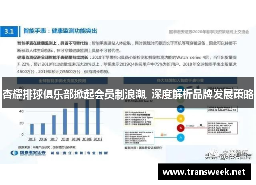 杏耀排球俱乐部掀起会员制浪潮, 深度解析品牌发展策略